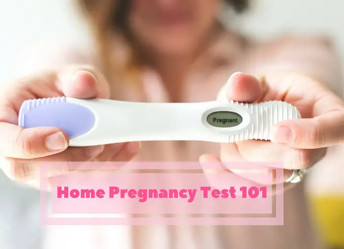 Home Pregnancy Test 101
