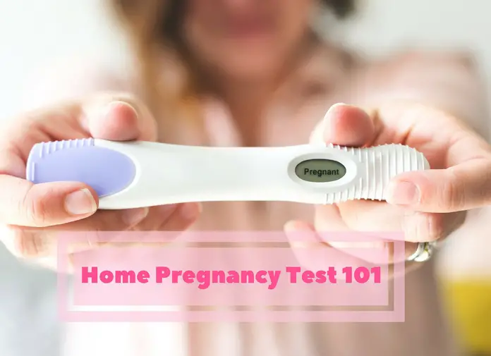  Home  Pregnancy  Test  101 Is A Home  Pregnancy  Test  Accurate 