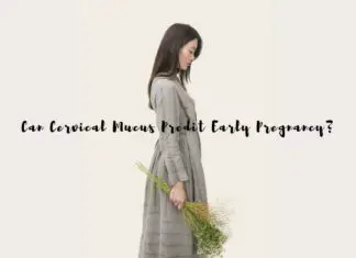 Can Cervical Mucus Predict Early Pregnancy?