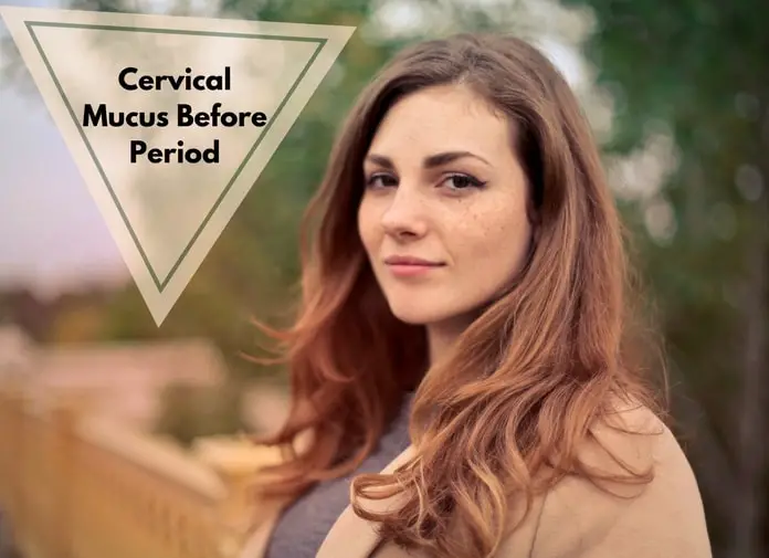 Cervical Mucus Before Period