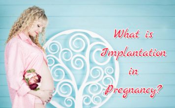 What Is Implantation In Pregnancy?