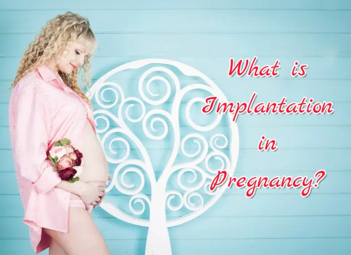 What Is Implantation In Pregnancy? 