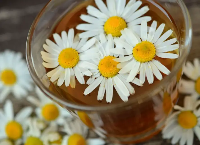 Chamomile Tea For Carpal Tunnel Syndrome