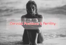 Cervix Position: What Cervical Position Tells You About Your Fertility