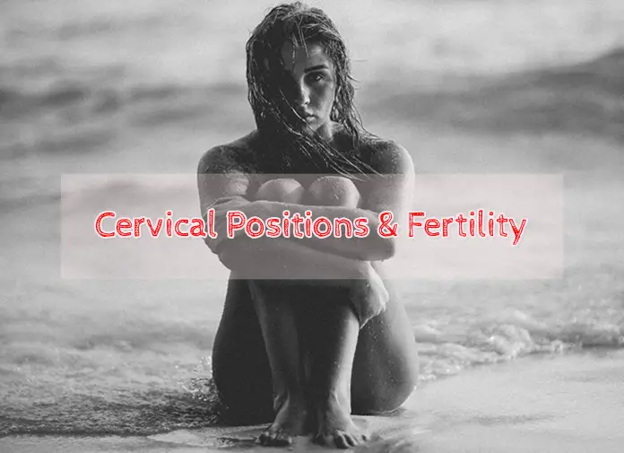 Cervix Position: What Cervical Position Tells You About Your Fertility