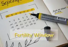 Fertility Window: How To Calculate Your Fertile Days?