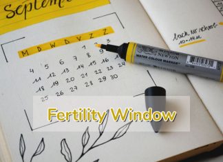 Fertility Window: How To Calculate Your Fertile Days?