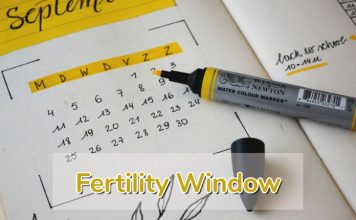 Fertility Window: How To Calculate Your Fertile Days?