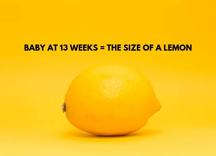 Baby at 13 weeks is of the size of a lemon
