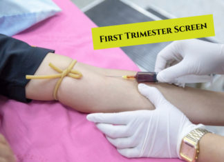 First Trimester Screen