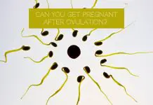 Can You Get Pregnant After Ovulation?