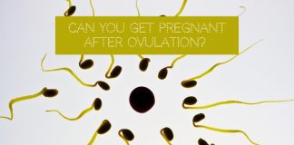 Can You Get Pregnant After Ovulation?