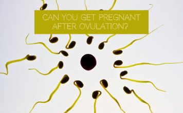 Can You Get Pregnant After Ovulation?