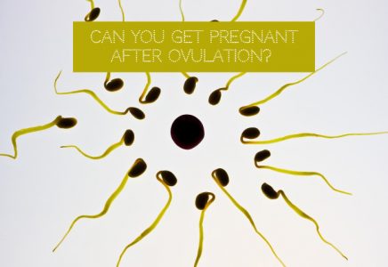 10 Sex Myths + Can You Get Pregnant From Swallowing Sperm?