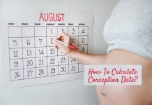 Conception Calculator: Can I Find Out The Exact Day Of Conception?