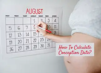 Conception Calculator: Can I Find Out The Exact Day Of Conception?