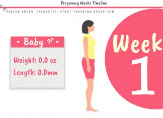 1 Week Pregnant Development