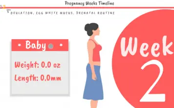 2 Weeks Pregnant