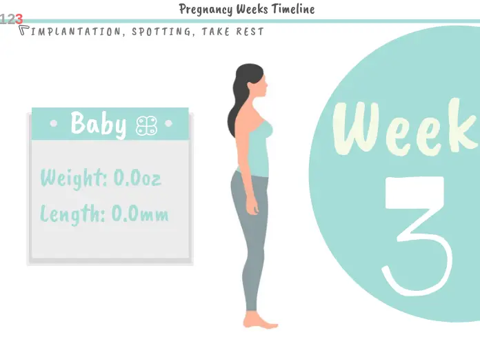 3 Weeks Pregnant