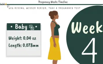 4 Weeks Pregnant