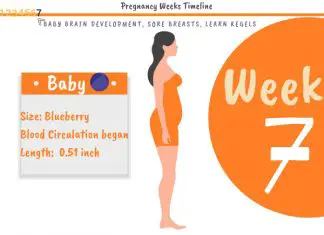 7 Weeks Pregnant