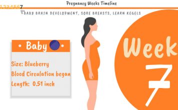 7 Weeks Pregnant