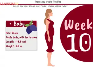 10 Weeks Pregnant: What To Expect?