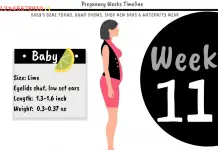 11 Weeks Pregnant: What To Expect?