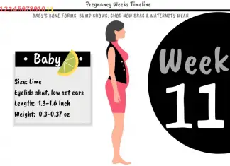 11 Weeks Pregnant: What To Expect?