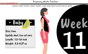 11 Weeks Pregnant: What To Expect?