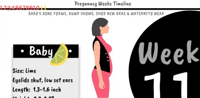 Bath While Pregnant - Is It Safe to Take Hot Baths While Pregnant