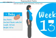 13 weeks pregnant: What to expect?