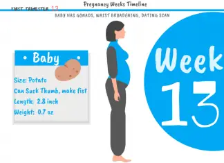 13 weeks pregnant: What to expect?