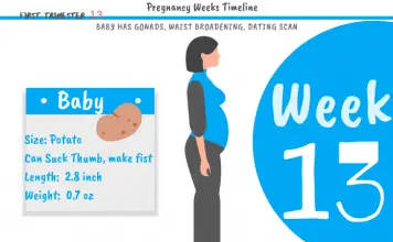 13 weeks pregnant: What to expect?