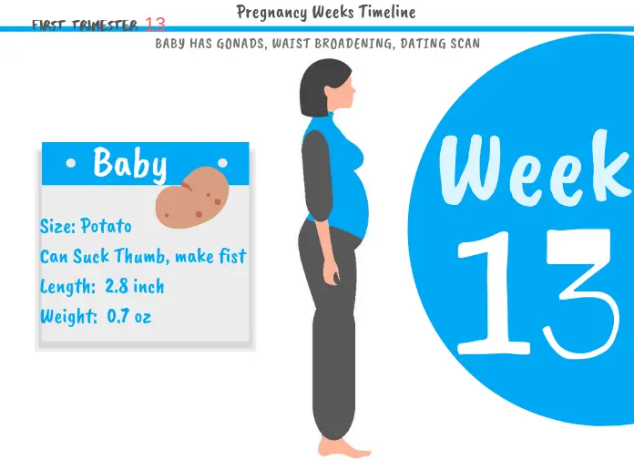 13 weeks pregnant: What to expect?