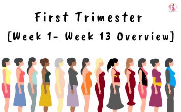 First Trimester [Week 1- Week 13 Overview]