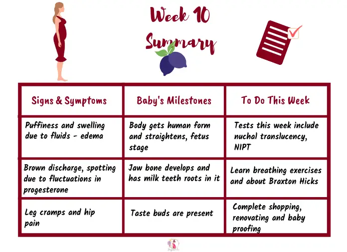 Week 10 pregnancy: First trimester