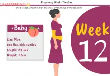 12 Weeks Pregnant: What To Expect?