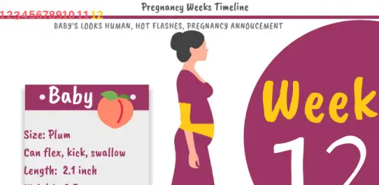3 Weeks Pregnant: Week-by-Week Pregnancy Guide