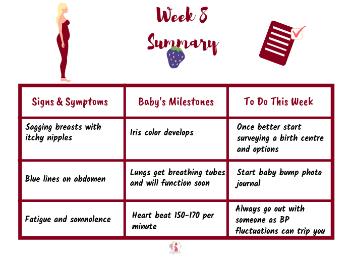 First Trimester OF Pregnancy: Weeks 1 To 13 Symptoms ...