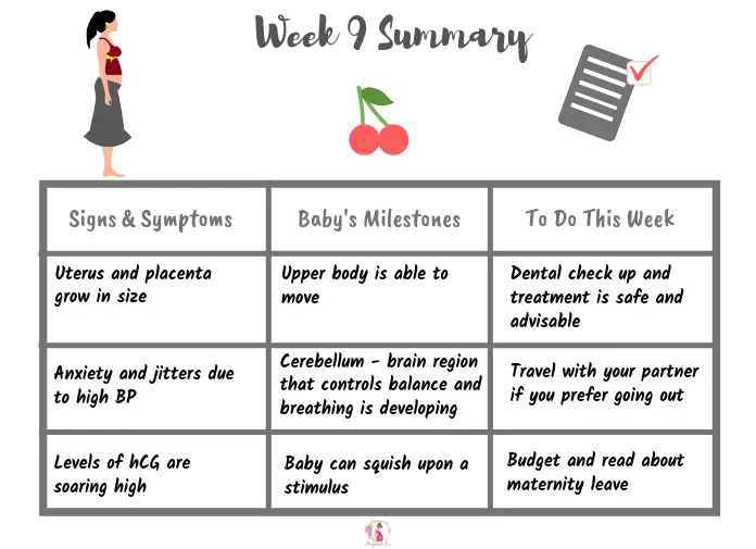 Week 9 pregnancy: First trimester
