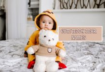 Cute Teddy Bear Names