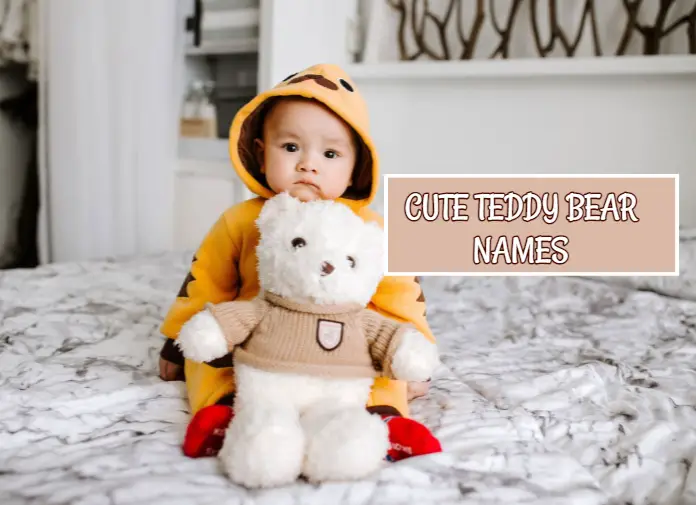 Cute Teddy Bear Names