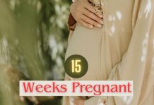 15 Weeks Pregnant: What To Expect?