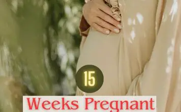 15 Weeks Pregnant: What To Expect?